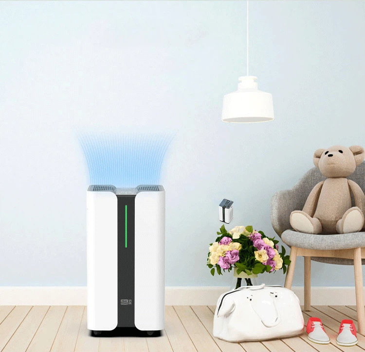 20250508115749 20250508115749